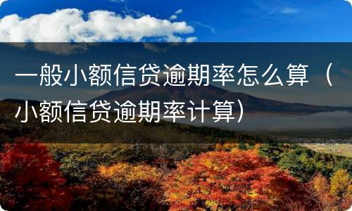 一般小额信贷逾期率怎么算（小额信贷逾期率计算）