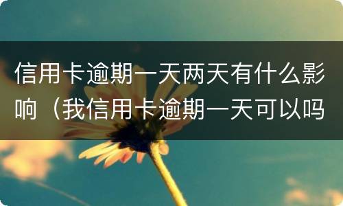 信用卡逾期一天两天有什么影响（我信用卡逾期一天可以吗）