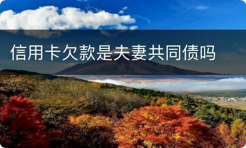 信用卡欠款是夫妻共同债吗