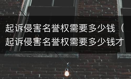 起诉侵害名誉权需要多少钱（起诉侵害名誉权需要多少钱才能立案）