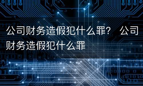 公司财务造假犯什么罪？ 公司财务造假犯什么罪