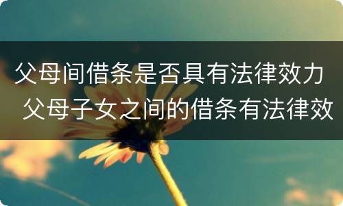 父母间借条是否具有法律效力 父母子女之间的借条有法律效力吗