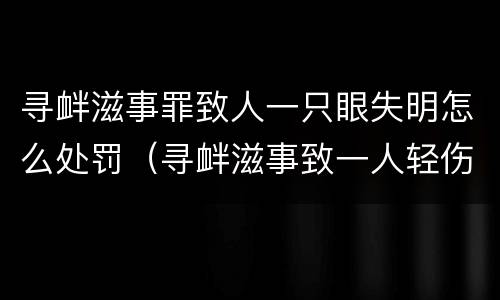 寻衅滋事罪致人一只眼失明怎么处罚（寻衅滋事致一人轻伤怎么判）