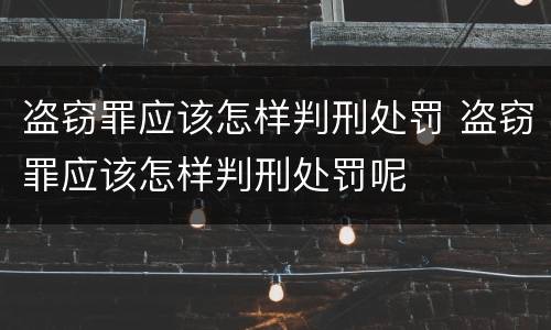 盗窃罪应该怎样判刑处罚 盗窃罪应该怎样判刑处罚呢