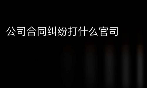公司合同纠纷打什么官司