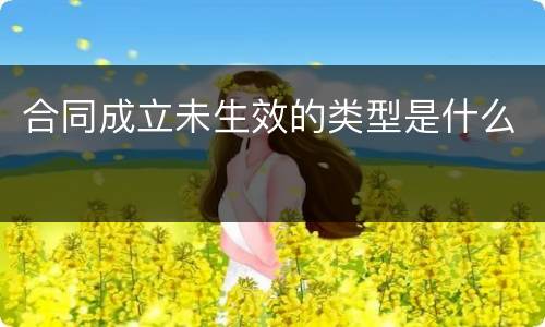 合同成立未生效的类型是什么