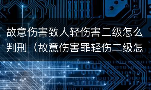 故意伤害致人轻伤害二级怎么判刑（故意伤害罪轻伤二级怎么判）