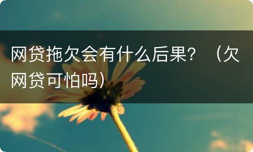 网贷拖欠会有什么后果？（欠网贷可怕吗）