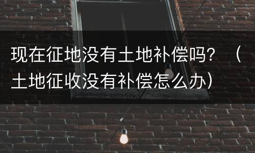 现在征地没有土地补偿吗？（土地征收没有补偿怎么办）