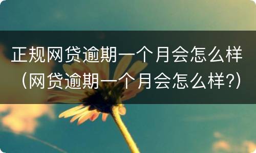 正规网贷逾期一个月会怎么样（网贷逾期一个月会怎么样?）