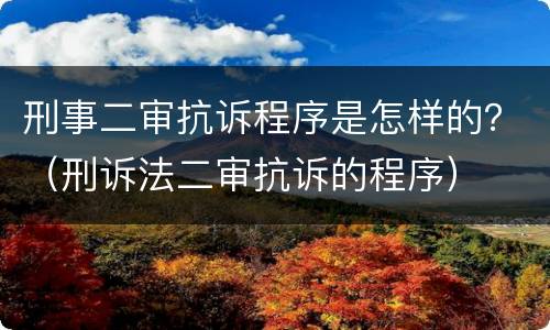 刑事二审抗诉程序是怎样的？（刑诉法二审抗诉的程序）