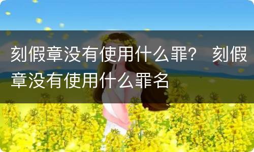 刻假章没有使用什么罪？ 刻假章没有使用什么罪名