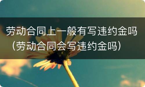 劳动合同上一般有写违约金吗（劳动合同会写违约金吗）