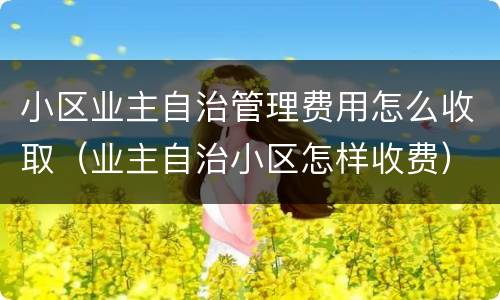 小区业主自治管理费用怎么收取（业主自治小区怎样收费）