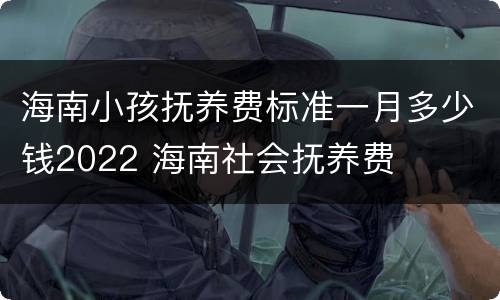 海南小孩抚养费标准一月多少钱2022 海南社会抚养费