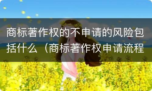 商标著作权的不申请的风险包括什么（商标著作权申请流程）