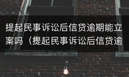 提起民事诉讼后信贷逾期能立案吗（提起民事诉讼后信贷逾期能立案吗知乎）