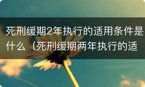 死刑缓期2年执行的适用条件是什么（死刑缓期两年执行的适用条件是什么?）