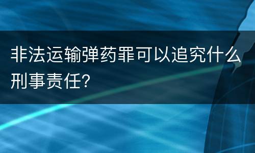 非法运输弹药罪可以追究什么刑事责任？
