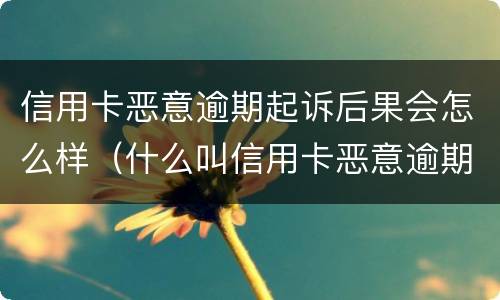 信用卡恶意逾期起诉后果会怎么样（什么叫信用卡恶意逾期）
