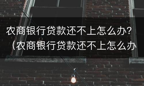 农商银行贷款还不上怎么办？（农商银行贷款还不上怎么办可以分期还款吗）