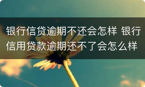 银行信贷逾期不还会怎样 银行信用贷款逾期还不了会怎么样