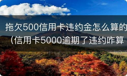拖欠500信用卡违约金怎么算的（信用卡5000逾期了违约咋算）