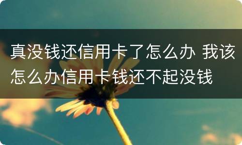 真没钱还信用卡了怎么办 我该怎么办信用卡钱还不起没钱