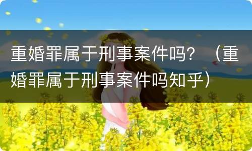 重婚罪属于刑事案件吗？（重婚罪属于刑事案件吗知乎）