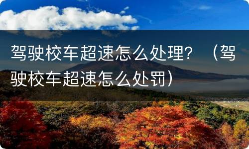驾驶校车超速怎么处理？（驾驶校车超速怎么处罚）