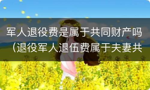 军人退役费是属于共同财产吗（退役军人退伍费属于夫妻共同财产吗）