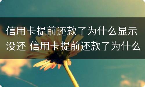 信用卡提前还款了为什么显示没还 信用卡提前还款了为什么显示没还完