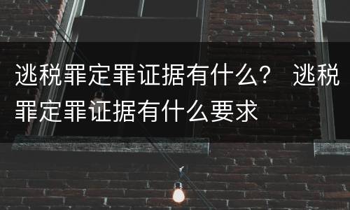 逃税罪定罪证据有什么？ 逃税罪定罪证据有什么要求