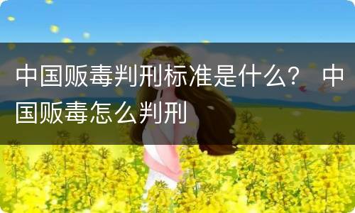 中国贩毒判刑标准是什么？ 中国贩毒怎么判刑