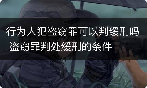 行为人犯盗窃罪可以判缓刑吗 盗窃罪判处缓刑的条件
