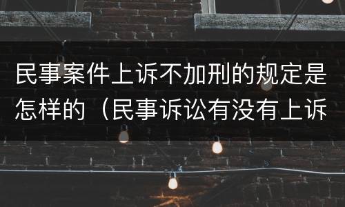 民事案件上诉不加刑的规定是怎样的（民事诉讼有没有上诉不加刑）