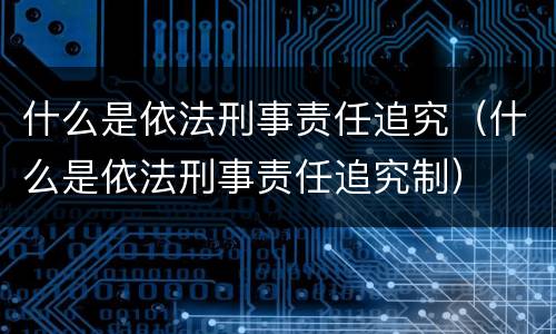 什么是依法刑事责任追究（什么是依法刑事责任追究制）
