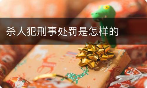 杀人犯刑事处罚是怎样的
