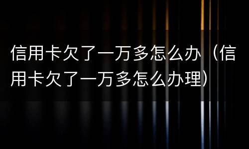 信用卡欠了一万多怎么办（信用卡欠了一万多怎么办理）