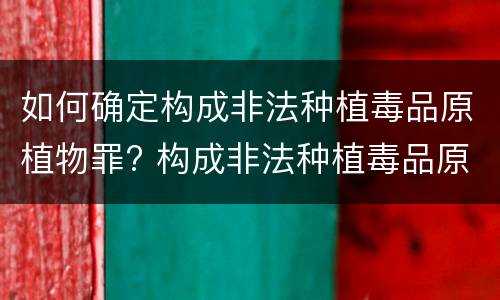 如何确定构成非法种植毒品原植物罪? 构成非法种植毒品原植物罪的情形