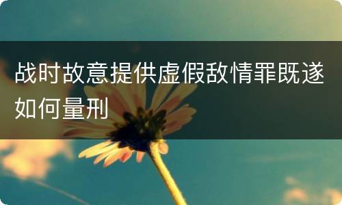 战时故意提供虚假敌情罪既遂如何量刑