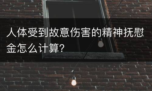 人体受到故意伤害的精神抚慰金怎么计算？