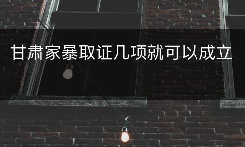 甘肃家暴取证几项就可以成立