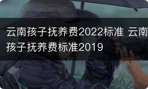 云南孩子抚养费2022标准 云南孩子抚养费标准2019