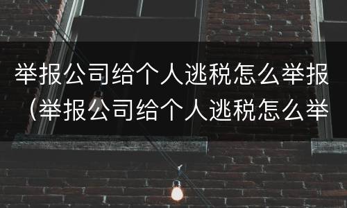 举报公司给个人逃税怎么举报（举报公司给个人逃税怎么举报他）