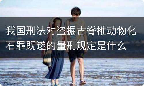 我国刑法对盗掘古脊椎动物化石罪既遂的量刑规定是什么