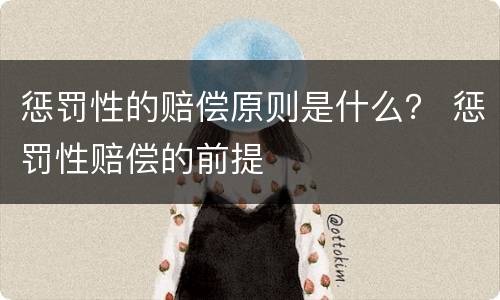 惩罚性的赔偿原则是什么？ 惩罚性赔偿的前提