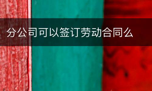 分公司可以签订劳动合同么