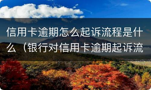 信用卡逾期怎么起诉流程是什么（银行对信用卡逾期起诉流程）