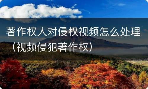 著作权人对侵权视频怎么处理（视频侵犯著作权）